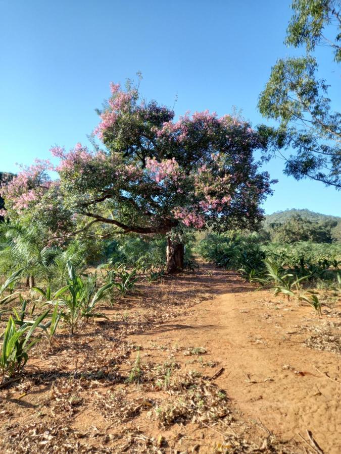 Chale Veredas E Buritis Pirenopolis Luaran gambar
