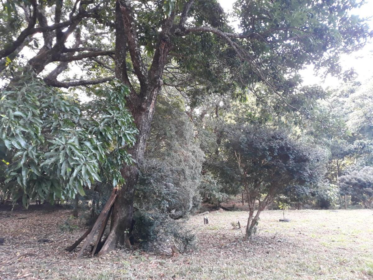 Chale Veredas E Buritis Pirenopolis Luaran gambar